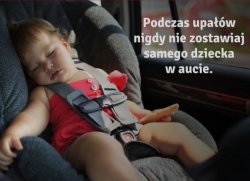 Ponawiamy apel!!! Nigdy nie zostawiajmy samych dzieci i zwierząt w samochodzie