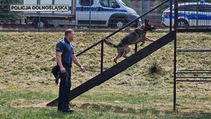 Dolnośląski finał eliminacji do „XX Kynologicznych Mistrzostw Polski”