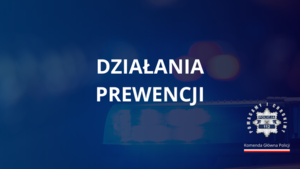 Działania służby prewencyjnej w 2024 roku