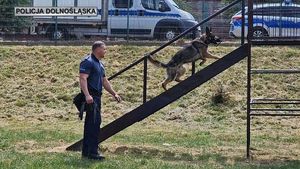 Zostań przewodnikiem psa służbowego w dolnośląskiej Policji