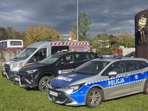 Zanim wejdziesz do lasu – Twoje bezpieczeństwo to priorytet!